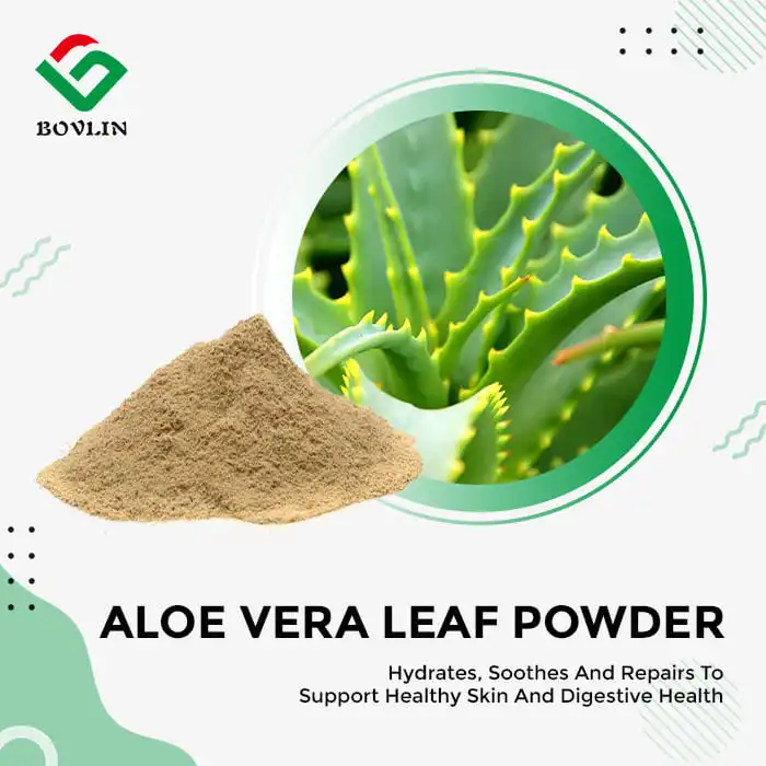 Aloe Vera Leaf Extract Powder